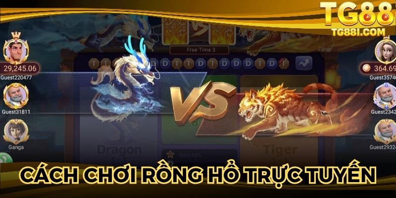 Cách chơi Rồng Hổ online tại trang web uy tín
